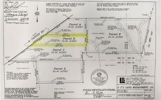 Parcel B N Factory (Hwy 1080) Rd, Folsom, LA 70437