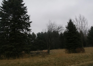 64457 Needham Rd, Burr Oak, MI 49030