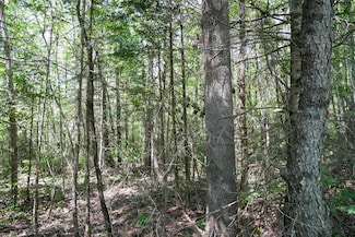 +/-8.25 Acres Mulberry Ln, Medford, WI 54451