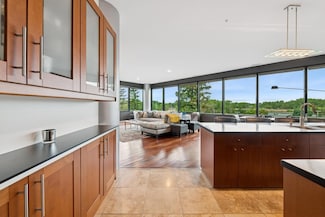 5601 Smetana Dr Unit 317, Minnetonka, MN 55343
