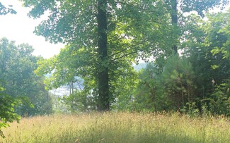 LT 1 Pioneer Trail, Hiawassee, GA 30546