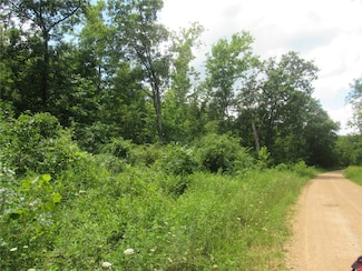 0 S Czar Tower (20 62 Acres) Rd Unit MAR24046095, Steelville, MO 65565