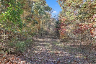 0 Batson Mill Rd Unit 21819573, Charlotte, TN 37036