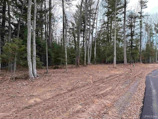 Lot 5 Parker Ln, Marquette, MI 49855