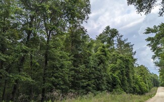 TBD 177th Rd & 14th St, Live Oak, FL 32060