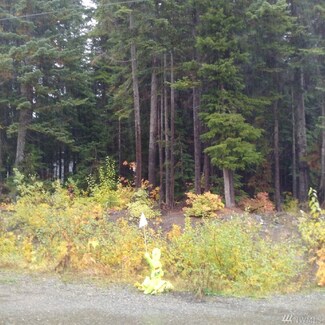 1040 Yellowstone Rd, Snoqualmie Pass, WA 98068
