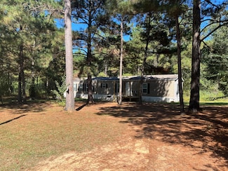 40 Lizie Ln, Mount Olive, MS 39119
