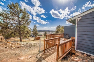 201 Dillon Ln, Florissant, CO 80816