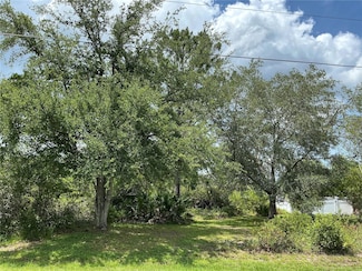 29 Louisiana Dr, Palm Coast, FL 32137
