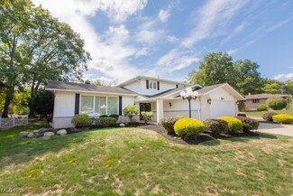 3968 Cindy Ln, Seven Hills, OH 44131