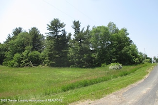 0 Horn Parcel I Ln Unit 288932, Charlotte, MI 48813