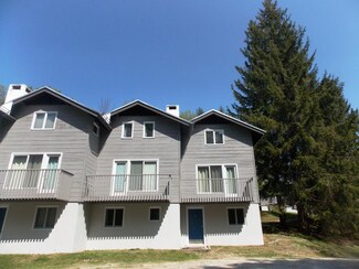7 Silver Birch Rd Unit 7, Winhall, VT 05340