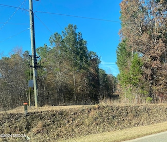 0 Pea Ridge Rd Unit 177687, Juliette, GA 31046