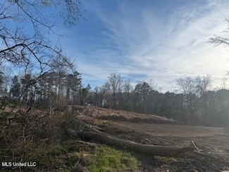 0 Lot A Slocum Rd, Hernando, MS 38632