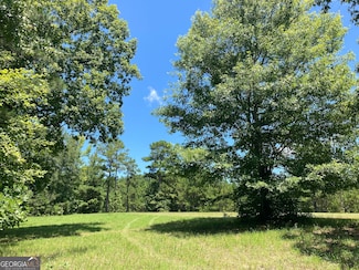0 Trick Run Unit 10457148, Forsyth, GA 31029