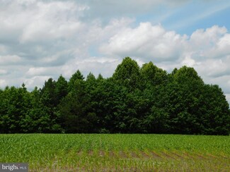 Lot 1 Iron Hill Rd, Delmar, DE 19940