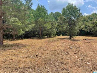 436 Springdale Rd, Mount Olive, AL 35117