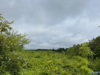 Tract 4 Tom Cat Rd, Gadsden, AL 35903
