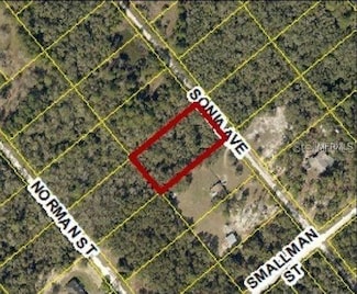 7241 Sonia Ave, Webster, FL 33597