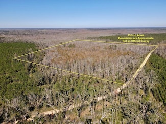 00 SW Sampala Lake Rd Unit LotWP001, Greenville, FL 32331