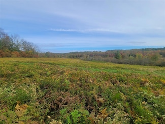 0 Mongaup Rd, Fallsburg, NY 12747