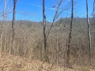 Lot 94 Towalgia Dr, Bryson City, NC 28713