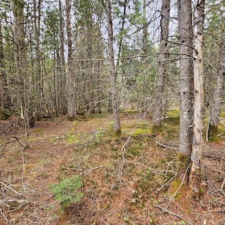3839 U S 5, Sutton, VT 05867