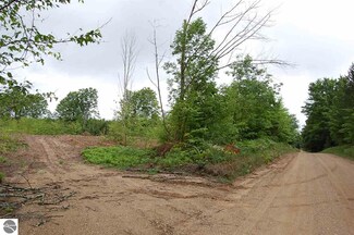 On Henschell Rd, Fife Lake, MI 49633