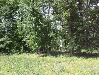 Lot 3 Lakeshore Dr, Bainbridge, GA 39819
