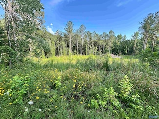 11.83 Acres County Road 82, Cedar Bluff, AL 35959
