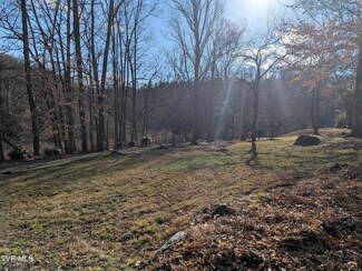 Tbd Beechwood Rd, Bristol, TN 37620