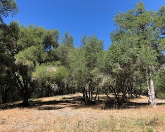 21930 Lyons Bald Mountain, Sonora, CA 95370