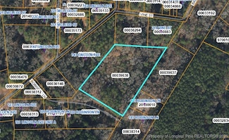 TBD Robinson Ln, Vass, NC 28394