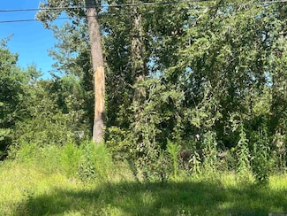 18070 Beechwood Rd, Prairieville, LA 70769