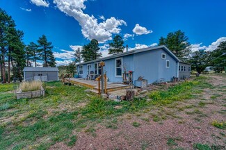 2075 L Path, Cotopaxi, CO 81223