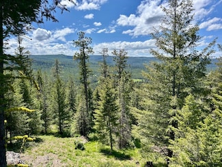 0 Glass Hill Rd, Lagrande, OR 97850
