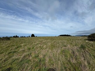28 Acre Rd, Petrolia, CA 95558