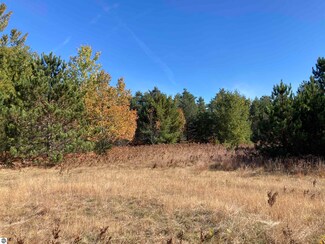 0 Nimrod Rd, Blair Township, MI 49685