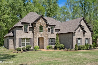 8240 Steven Henry Rd, Hernando, MS 38632