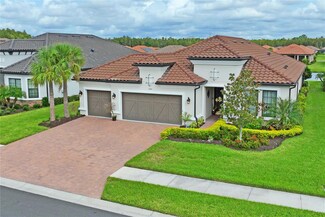 11161 Egeria Dr, Odessa, FL 33556