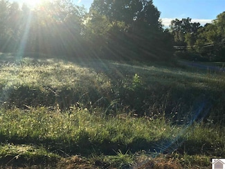 0000 Access Rd, Benton, KY 42025