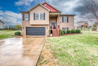 2102 Falling Leaf Dr, Kingsport, TN 37664