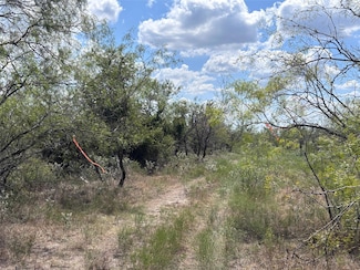 TBD 10.04 AC County Road 413, Thorndale, TX 76557