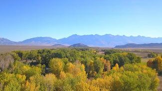 0 Bartlett Point Rd, MacKay, ID 83251