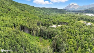 13630 Kings River Dr, Sutton-Alpine, AK 99674
