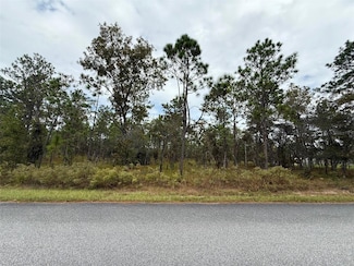 0 NW Amberjack Ave Unit MFRL4956794, Dunnellon, FL 34431