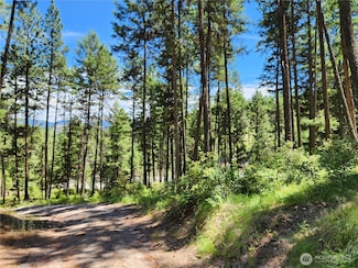 0 Lot 302 Klondike Rd, Republic, WA 99166