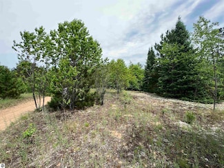5 Acres Little Ln NE, Kalkaska Township, MI 49646