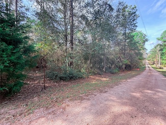 0 Serendipity Trail Unit 46315505, Plantersville, TX 77363