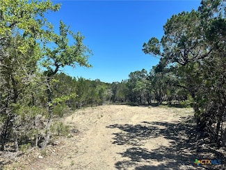 277 Gallagher Dr, Canyon Lake, TX 78133